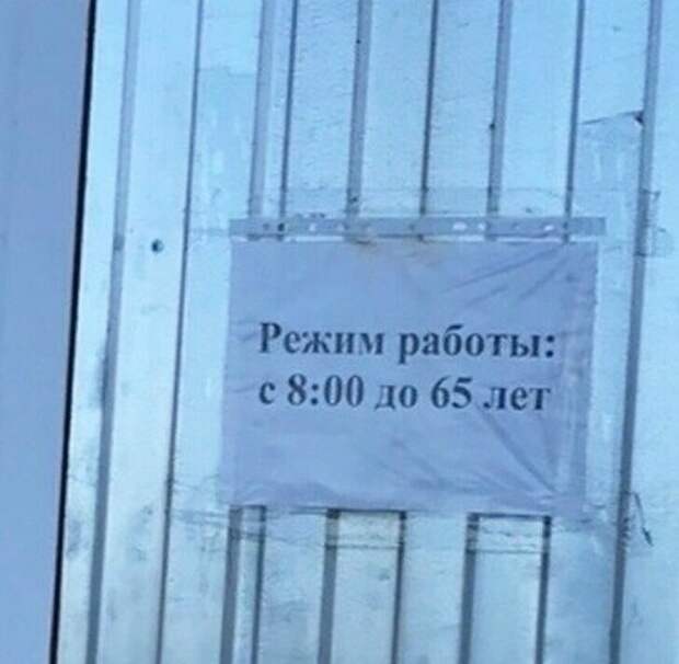 Особенности жизни в России Особенности жизни в России