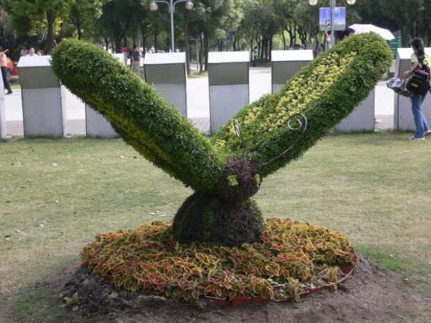 Китайский сад