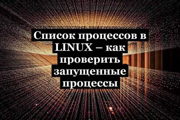 Список процессов в Linux – как проверить запущенные процессы