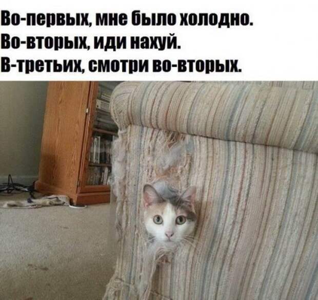 Новые фотомемы на Бугаге (23 шт)