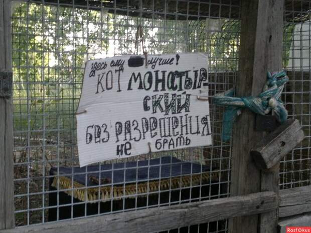 Кота в клетке не было... Ачаирский монастырь, Омская область. Фото: Rnrasfokus.ru
