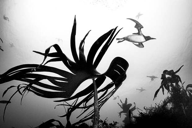 Некоторые фото с конкурсов