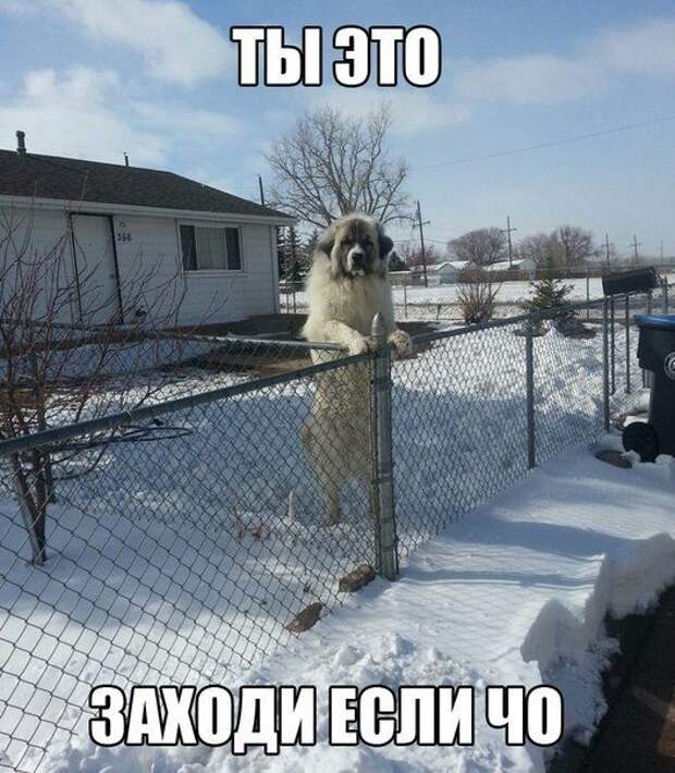 С приветами из России