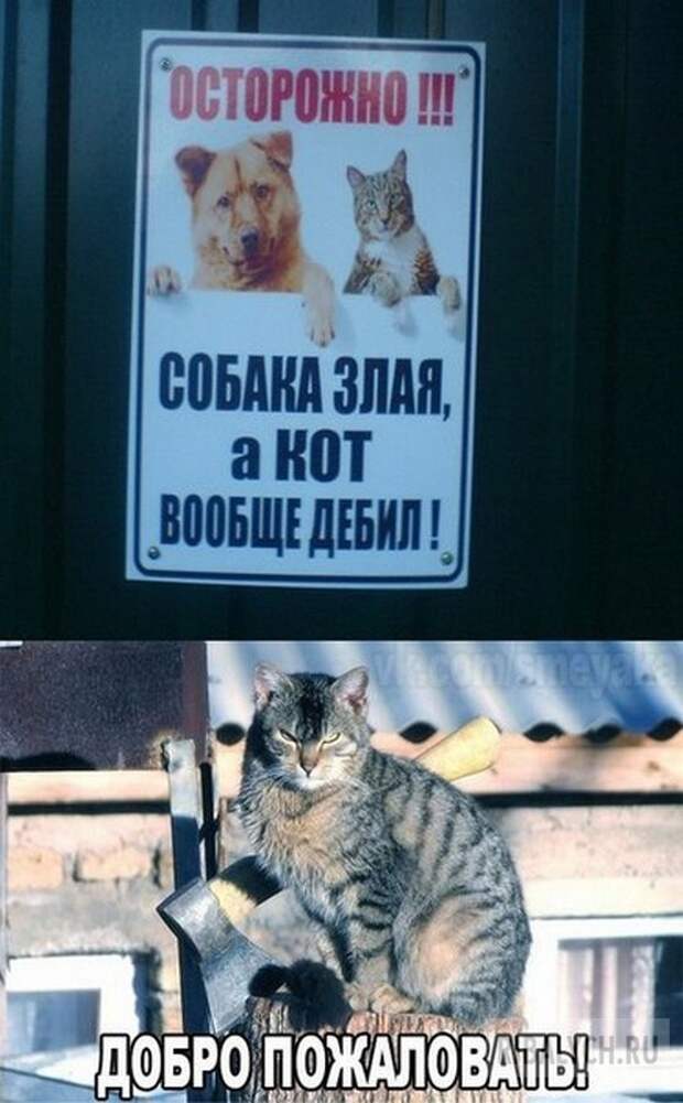 воскресный юмор