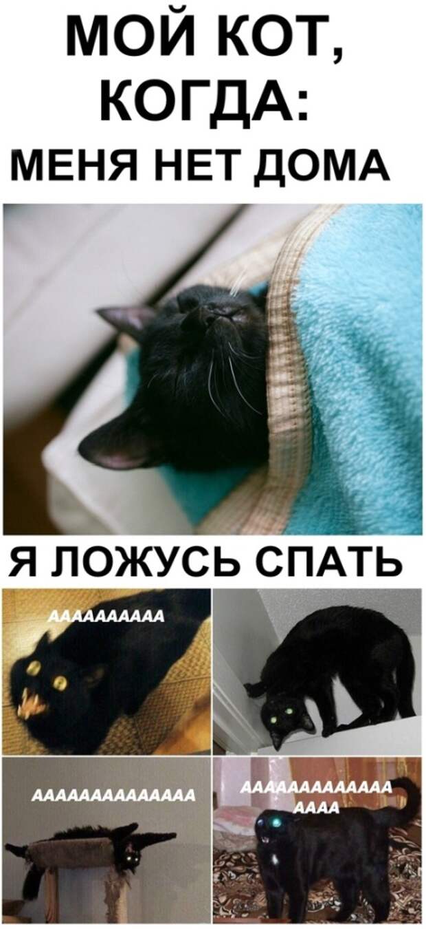 www.vsyako.net
