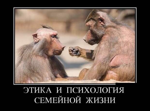 Демотиваторы (30 фото)