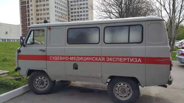 экспертиза