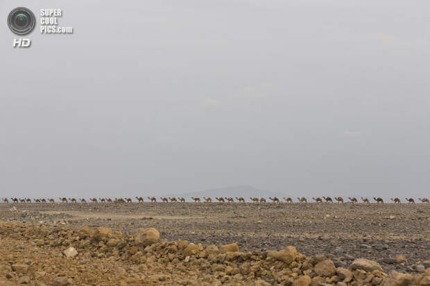Mining the salt of the earth