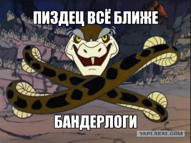 Картинки по запросу