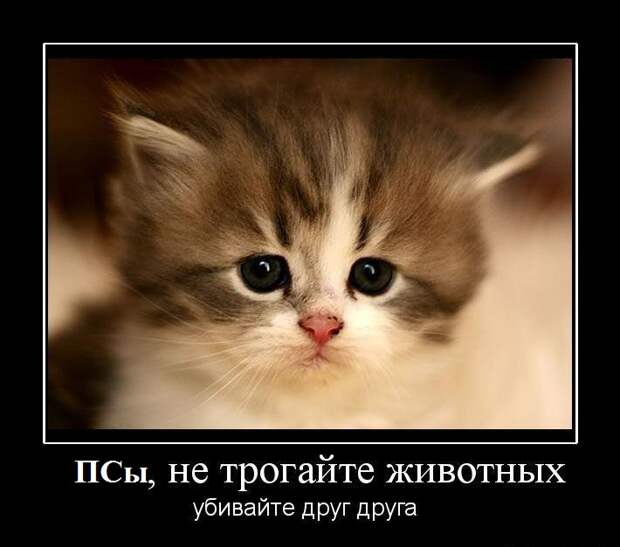 post-5-0-23089000-1505571246.jpg