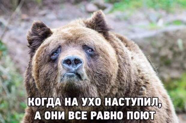 Новые прикольные фотомемы (20 шт)