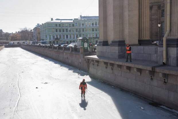 Волонтеры-спасатели Петербурга спасли селезня со сломанным крылом