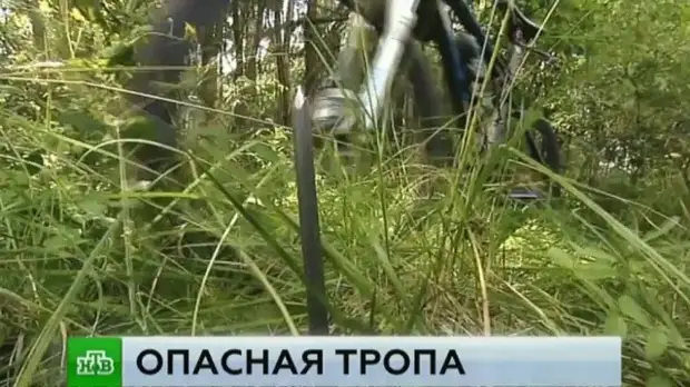 Охотники на людей закопали в подмосковном лесу металлические штыри ...