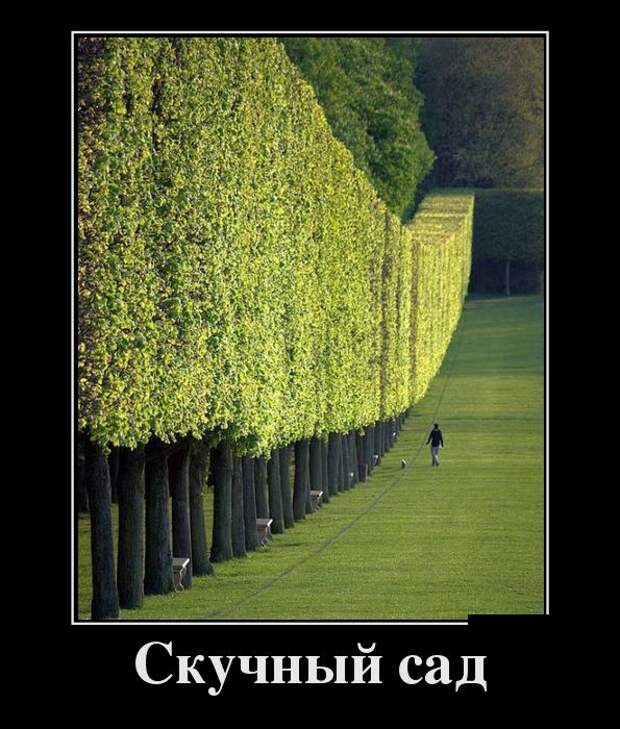Демотиваторы (30 фото)