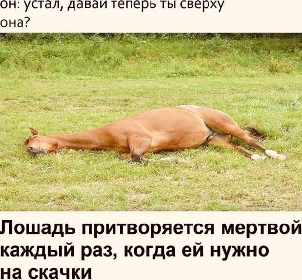 Мемы и приколы про отношения и 