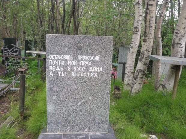 Прикольные картинки Прикольные картинки