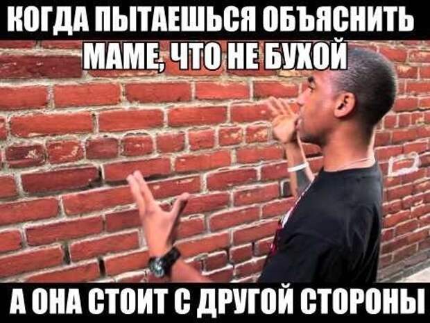 5o5eVu95LCc