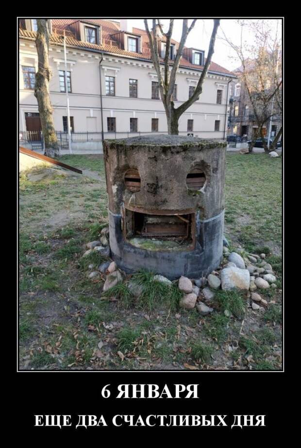 dmt-1.jpg