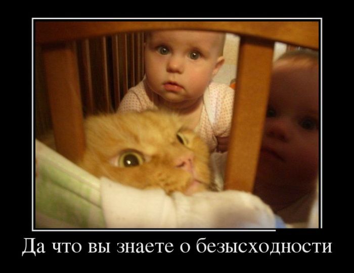 Прикольные демотиваторы для настроения (11 фото) Прикольные демотиваторы для настроения (11 фото)
