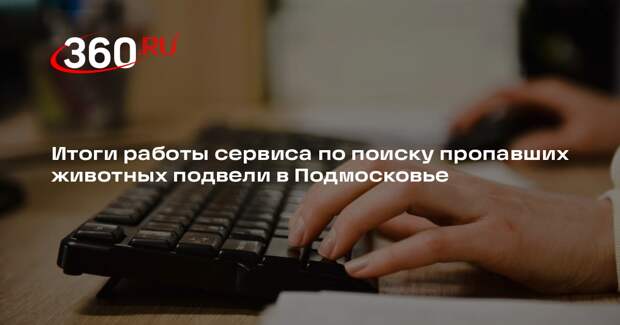 Итоги работы сервиса по поиску пропавших животных подвели в Подмосковье
