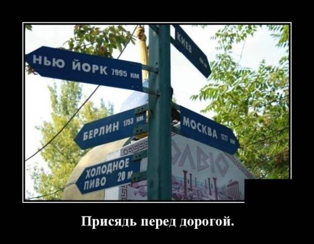 Демотиваторы