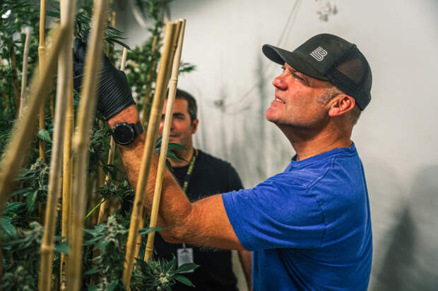 Oskar Blues can symbol smoking marijuana