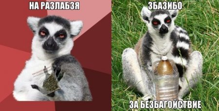 Оттянись, посмотри приколы.