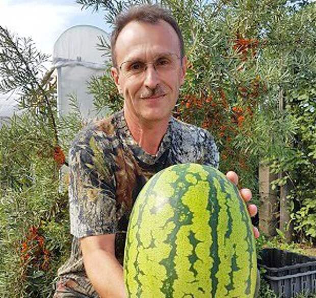 Вадим Кононов 