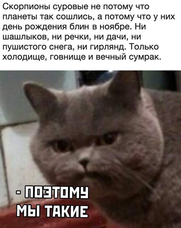 Скорпионы Скорпионы