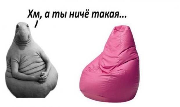 Анекдоты для хорошего настроения (18 шт)