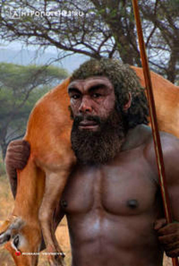 Реконструкция человека из Брокен Хилл. Автор – Роман Евсеев, https://vk.com/other_worlds_studio Реконструкция человека из Брокен Хилл. Автор – Роман Евсеев, https://vk.com/other_worlds_studio