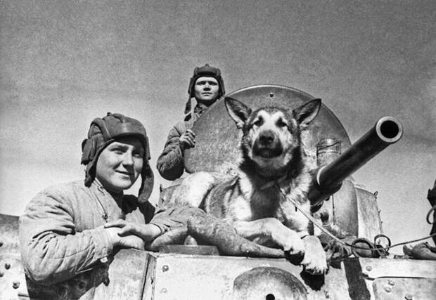 Экипаж советского бронеавтомобиля БА-10 старший сержант Е.Эндрексон, сержант В.П.Ершаков и овчарка Джульбарс. Южный фронт
