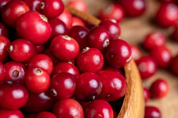 В РАН обнаружили, что охотники-собиратели Подмосковья варили ягодно-рыбный суп