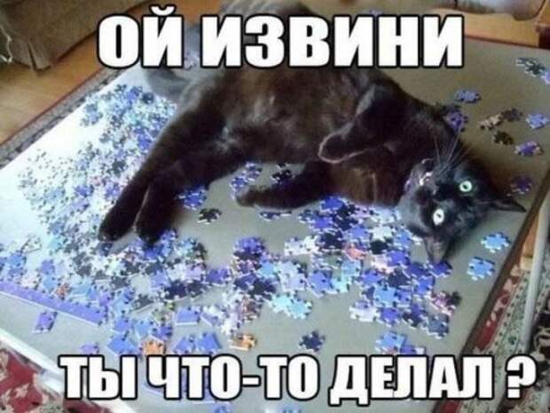 Прикольные фотомемы (25 шт)