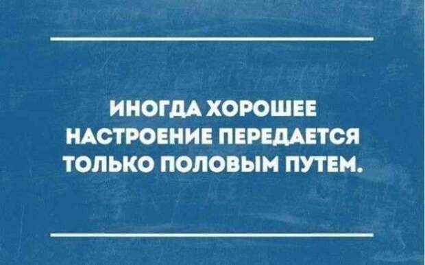 УБОЙНЫЕ ФРАЗЫ, КОТОРЫЕ ПОДНИМУТ ВАМ НАСТРОЕНИЕ! УБОЙНЫЕ ФРАЗЫ, КОТОРЫЕ ПОДНИМУТ ВАМ НАСТРОЕНИЕ!