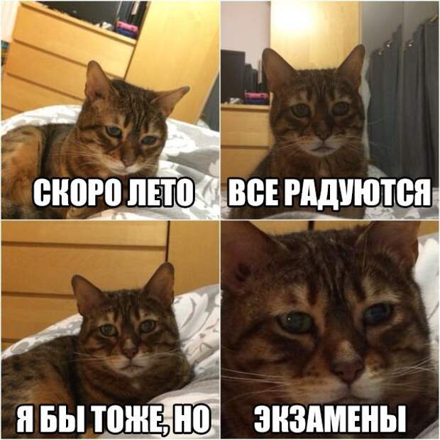 Прикольные картинки с надписями для поднятия настроения (11 фото) Прикольные картинки с надписями для поднятия настроения (11 фото)