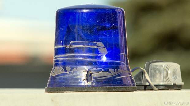 В Подмосковье задержан первый замглавы Сергиева-Посада и еще трое чиновников за взятки и мошенничество