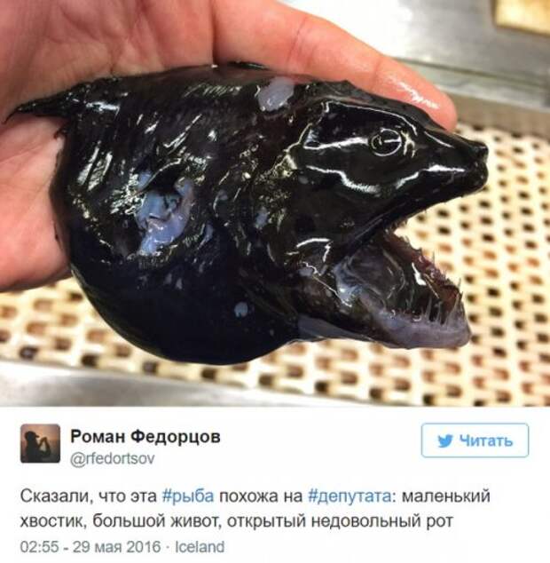 Познавательный твиттер моряка Романа Федорцова (16 фото)