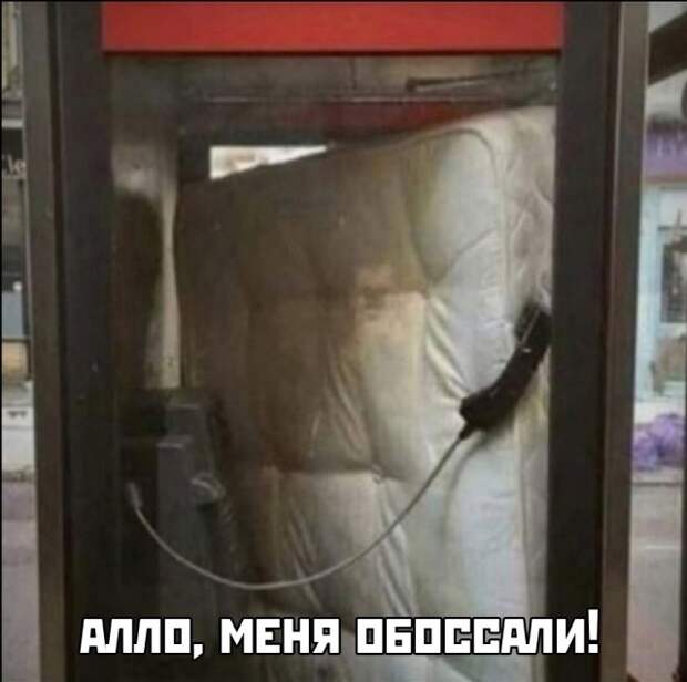 Смешные картинки вечер 7 мая 2021
