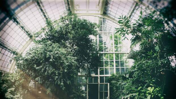 Три теплицы за пять лет: почему поликарбонат больше не держит зиму и чем его заменить