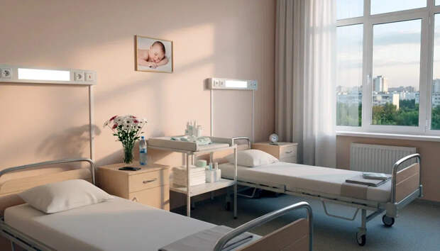 Заведующая роддомом в Черкесске оставила себе чужого младенца