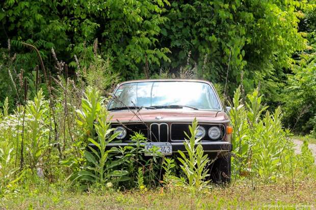 BMW 3.0 CSi 1975 года, который валялся в кустах. нью-йорк, олдтаймер, ретро автомобили