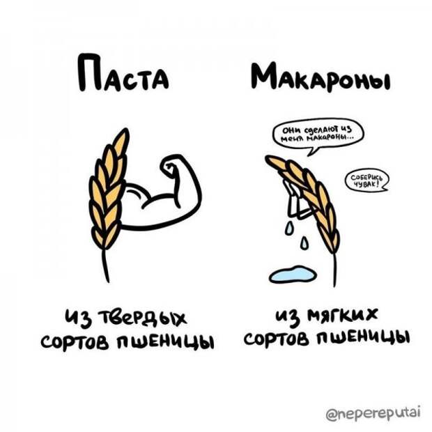 20 иллюстраций, наглядно показывающих разницу между объектами