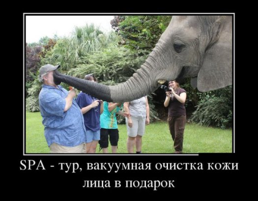 Демотиваторы 6.05.13