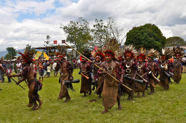 3341 Папуасы из Новой Гвинеи