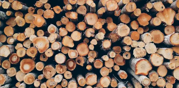 В России хотят разрешить строительство деревянных пятиэтажек