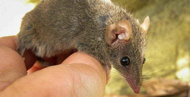 169d8f78376db7bc4e50ab1ac3e5faa2