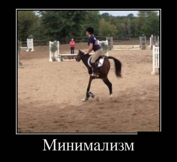Демотиваторы (30 фото)