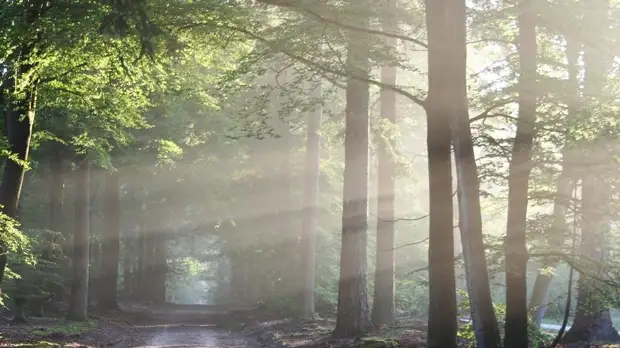 Синоптик рассказал о потеплении в Пермском крае