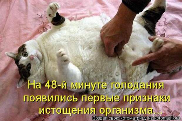Мысли вслух :)
